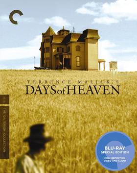 天堂之日Days of Heaven