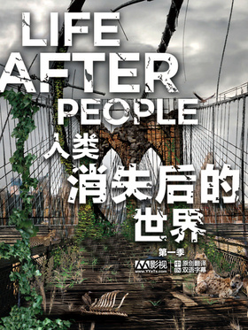 人类消失后的世界Life After People