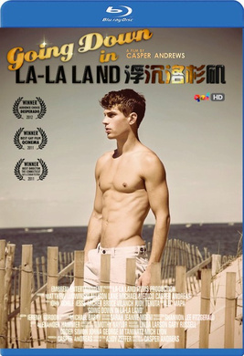 浮沉洛杉矶Going Down in LA-LA Land