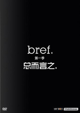 总而言之Bref