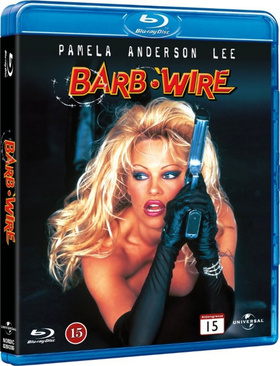 越空追击Barb Wire 