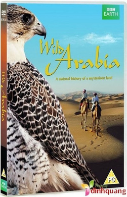 狂野阿拉伯Wild Arabia 
