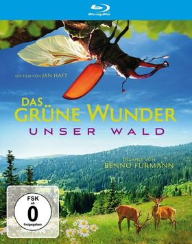 大自然之舞Das grüne Wunder - Unser Wald