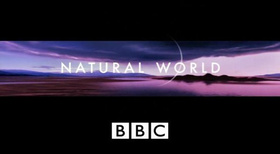BBC 自然世界BBC Natural World