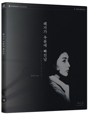 猪堕井的那天돼지가우물에빠진날