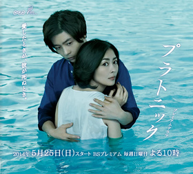 柏拉图式プラトニック