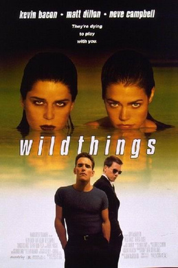 玩尽杀绝Wild Things