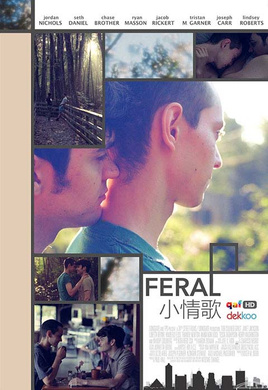 小情歌Feral
