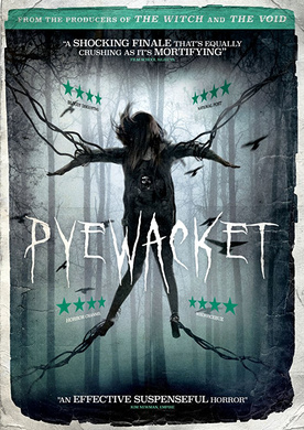 猫妖Pyewacket