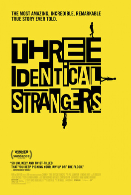 孪生陌生人Three Identical Strangers
