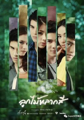 缤纷之实ลูกไม้หลากสี