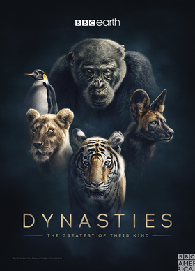 动物王朝Dynasties