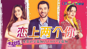 七件不该做的事Seven Ne Yapmaz