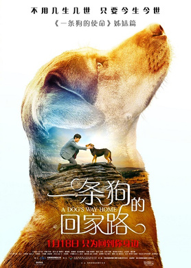 一条狗的回家路A Dog's Way Home