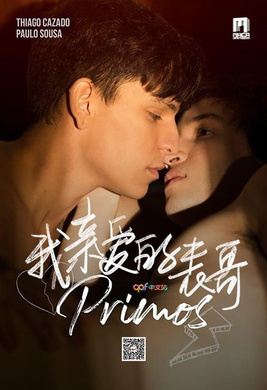 我亲爱的表哥Primos