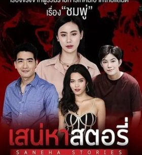 爱的故事之敏感的她Saneha Stories 2