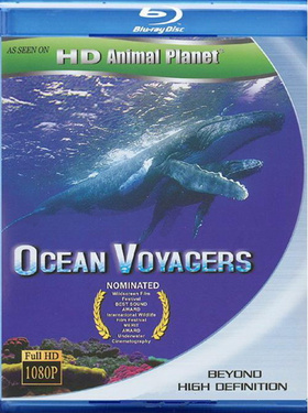 动物星球系列：鲸奇之旅Ocean Voyagers