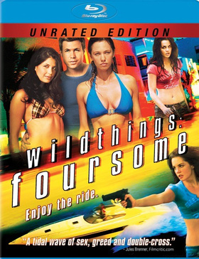 玩尽杀绝4：四人组Wild Things: Foursome‎