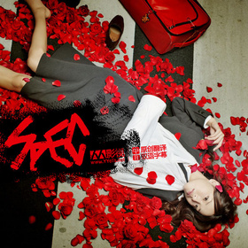 SPECSPEC〜警視庁公安部公安第五課 未詳事件特別対策係事件簿〜‎